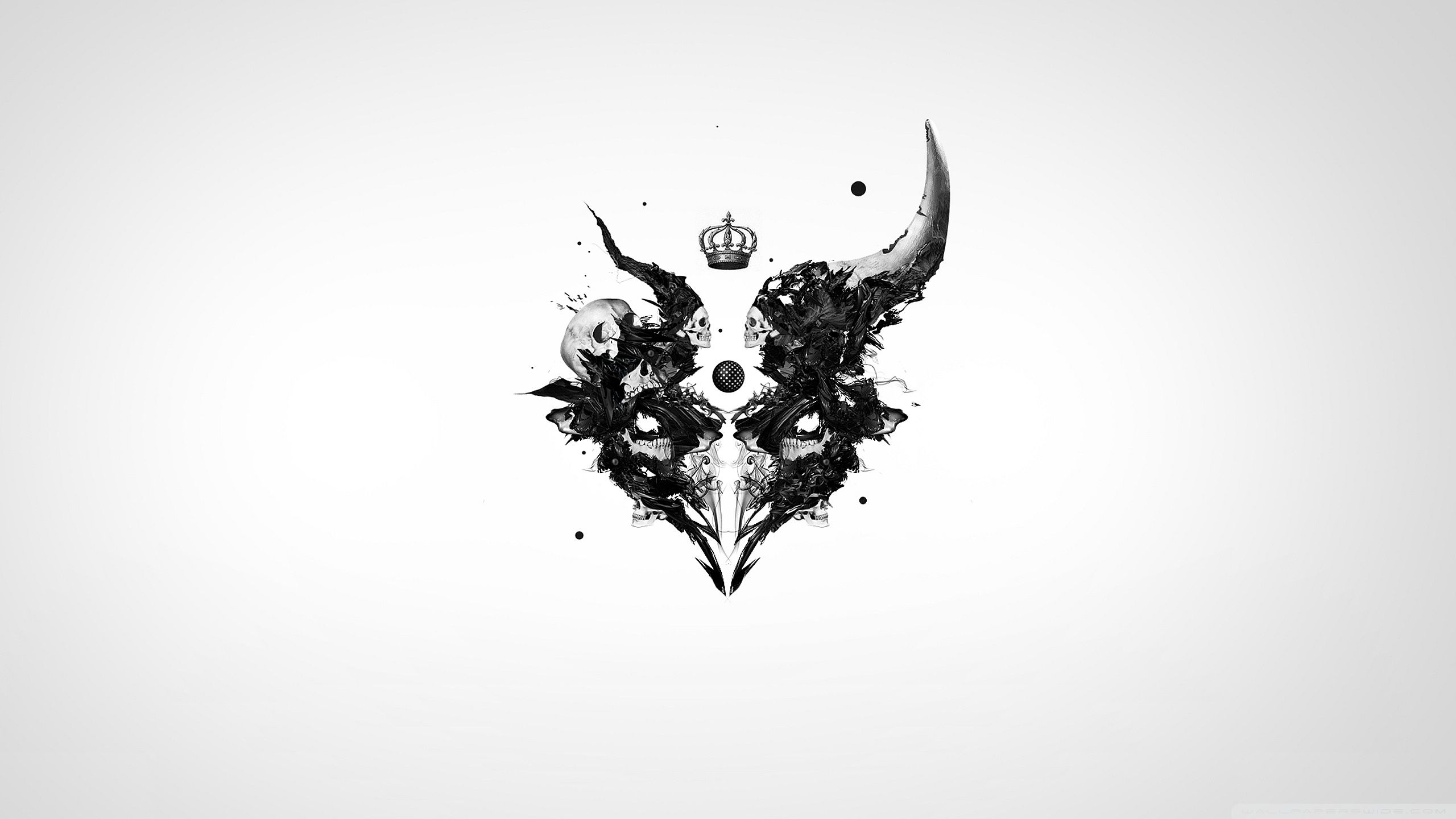 Corvo astratto bianco e nero, 2560x1440 2K, Desktop