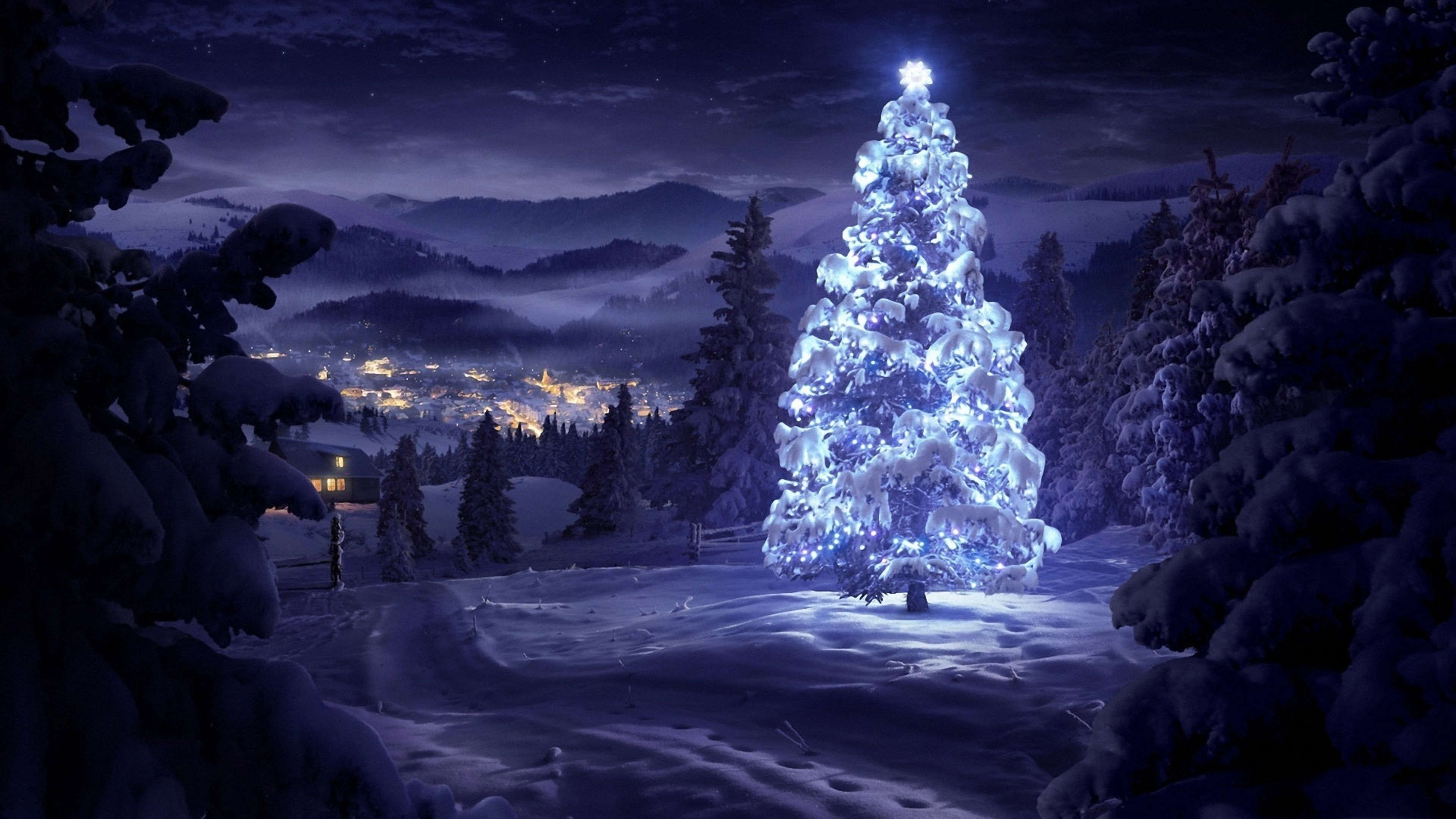 Albero di Natale illuminato notturno, 3840x2160 4K Ultra HD, Monitor 4K