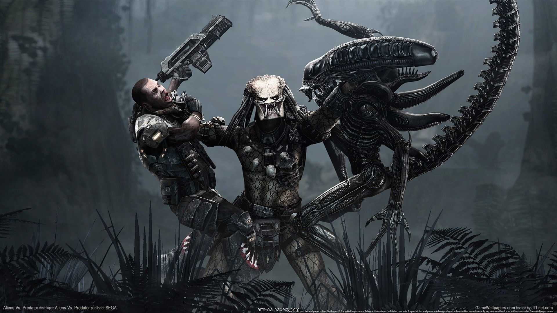 Alien vs Predator scena, 1920x1080 Full HD, Desktop