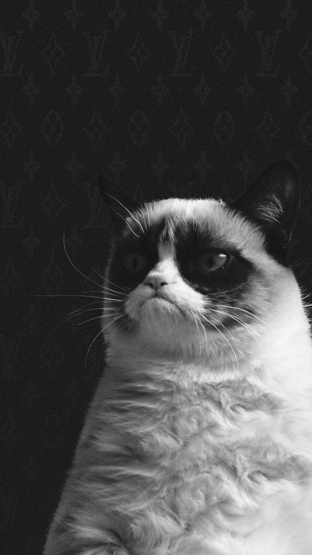 Grumpy Cat bianco e nero, 1080x1920 Verticale, iPhone