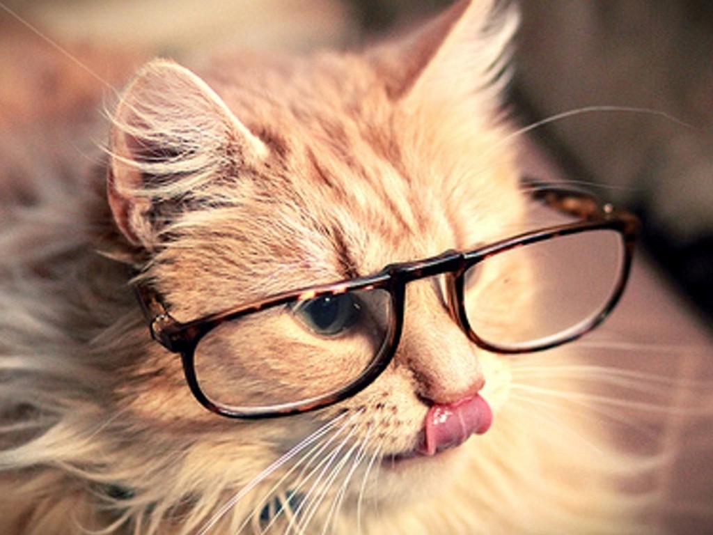 Gatto rosso con corna di renna, 750x1334 Full HD Verticale, iPhone Plus