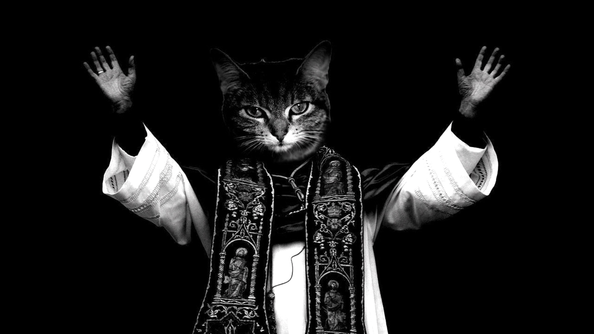 Gatto vestito da prete, 1920x1080 Full HD 1080p, PC