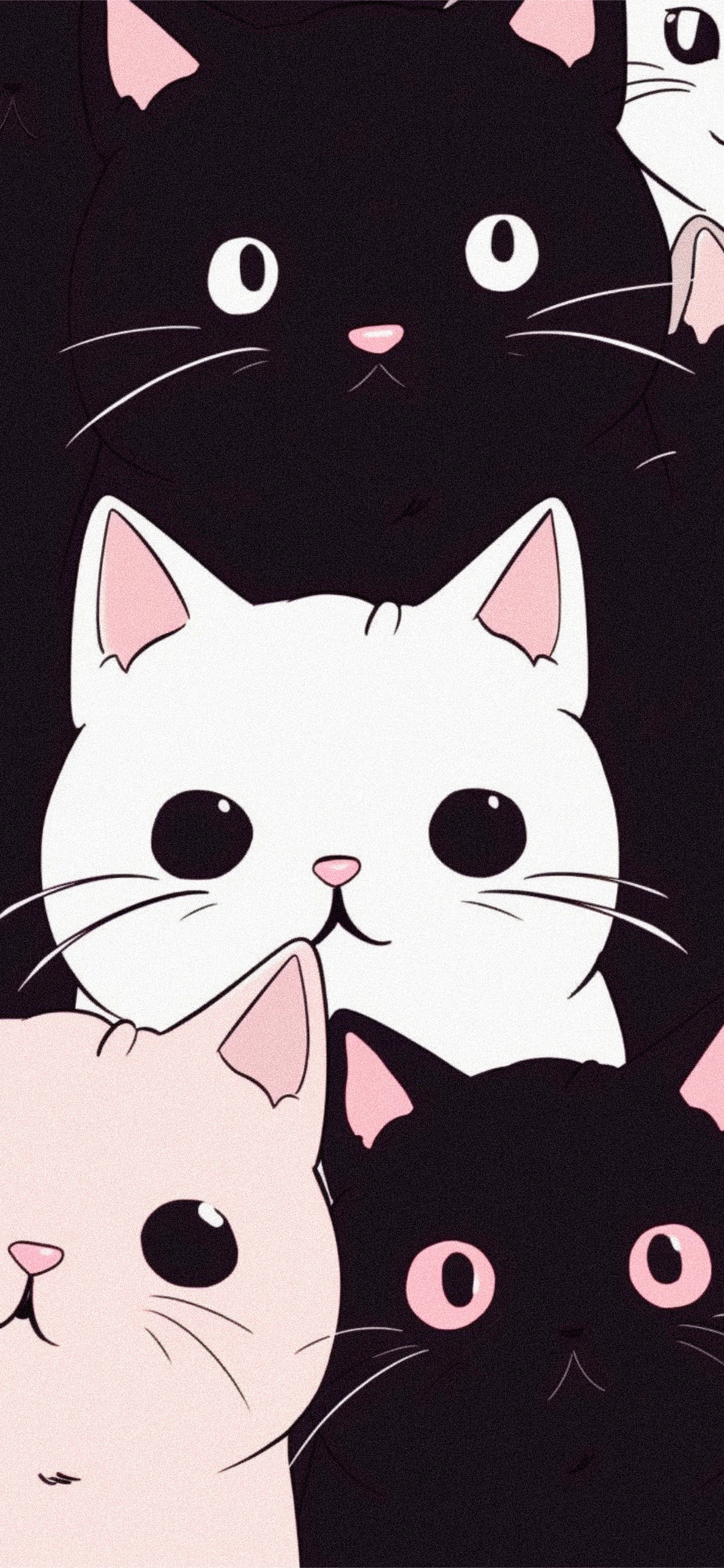 Gatti cartoon neri bianchi rosa, 1183x2560 Full HD Verticale, Smartphone