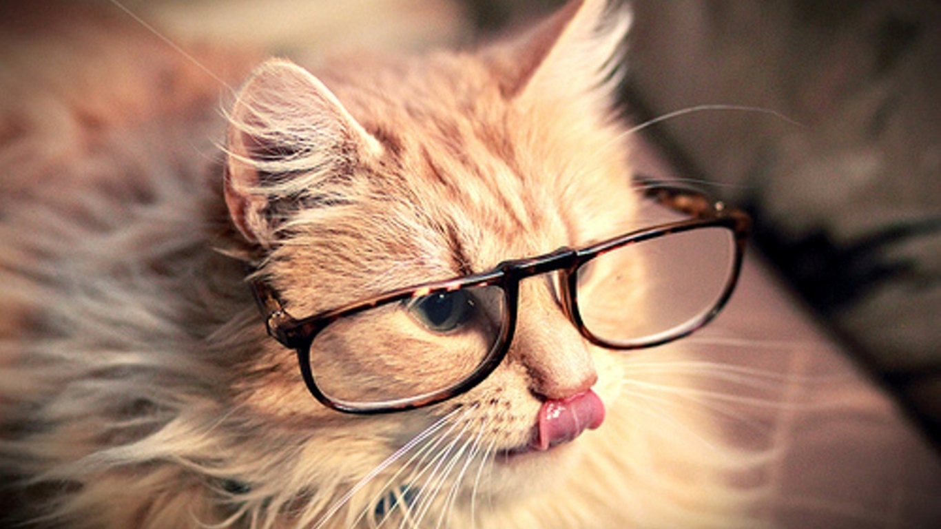 gatto con occhiali lingua fuori, 1366x768 HD, Desktop