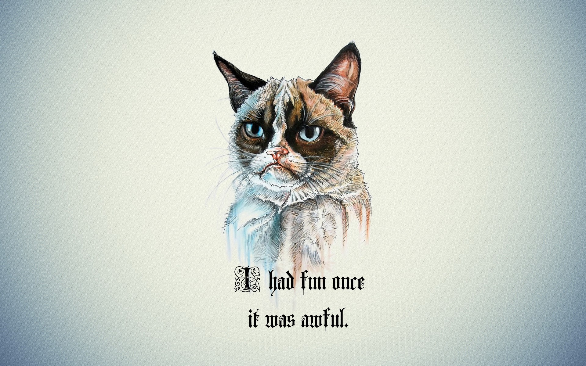 Grumpy Cat con testo divertente, 1920x1200 WUXGA, iMac