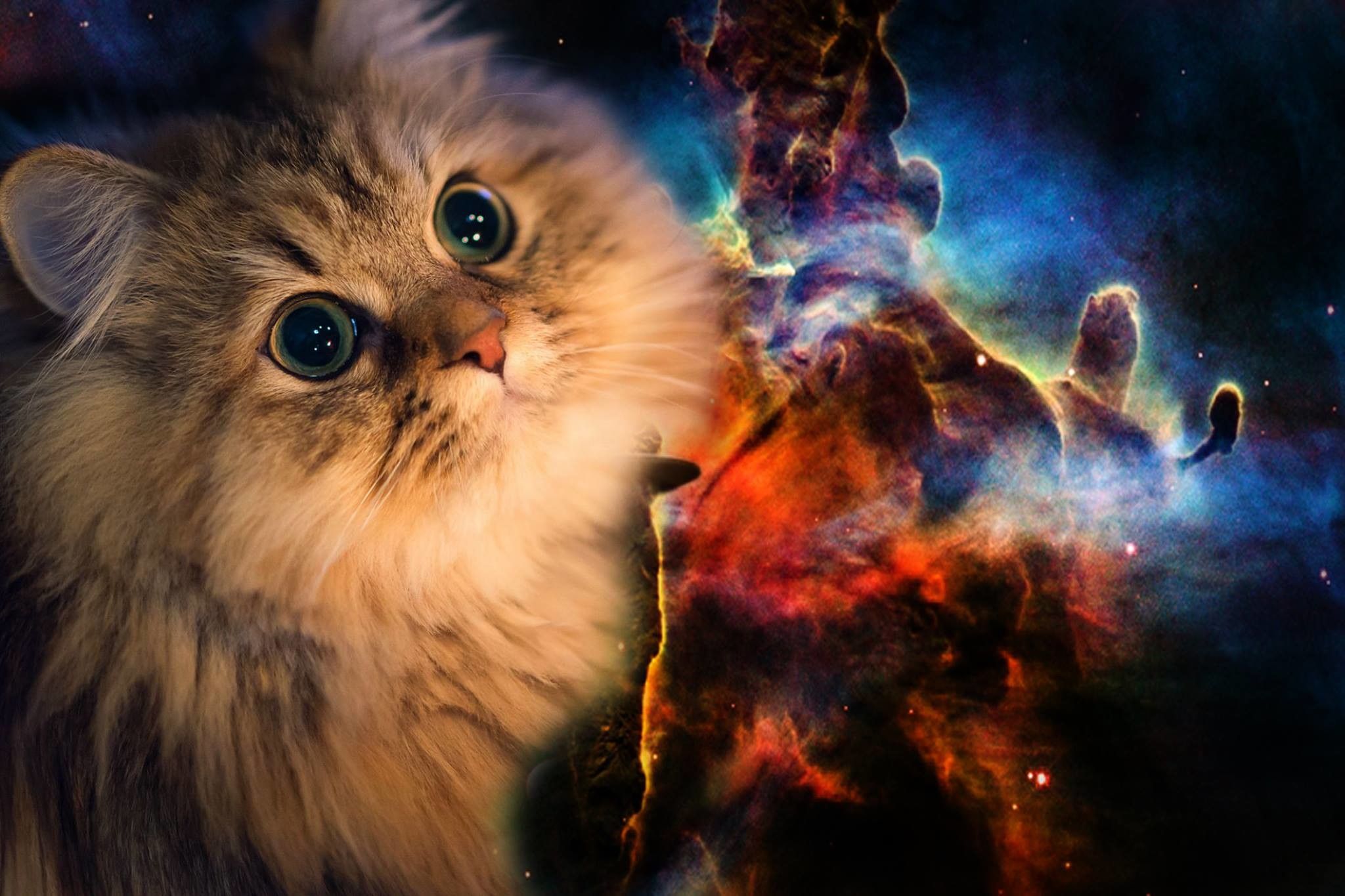 Gatto peloso con nebulosa spaziale, 2048x1365 2K, Laptop