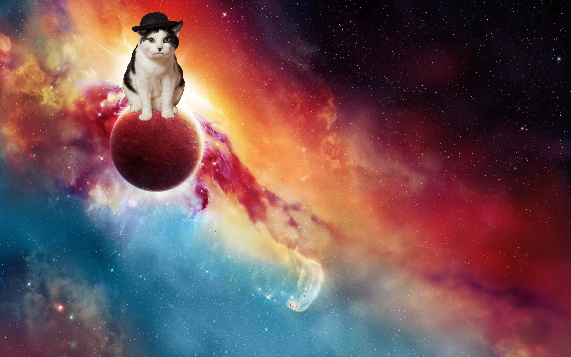 Gatto con cappello su pianeta, 1920x1200 WUXGA, Desktop
