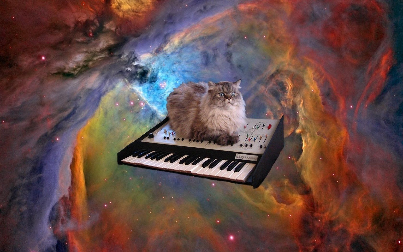 Gatto DJ nello spazio, 1984x1488 Full HD+, PC Desktop