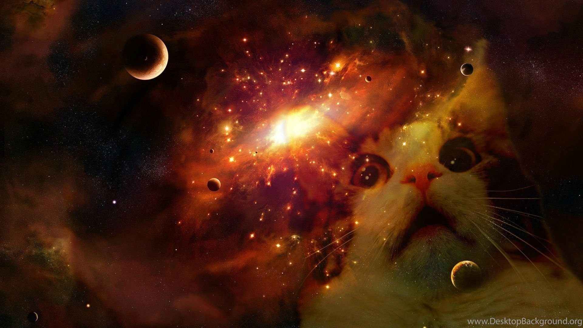 Gatto nella galassia spaziale, 1920x1080 Full HD, Desktop
