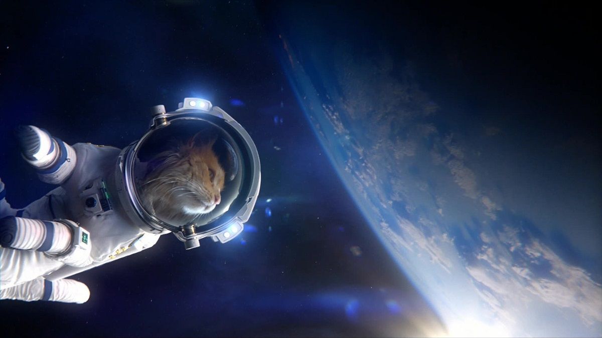 Gatto astronauta selfie spazio, 1200x675 HD, iMac