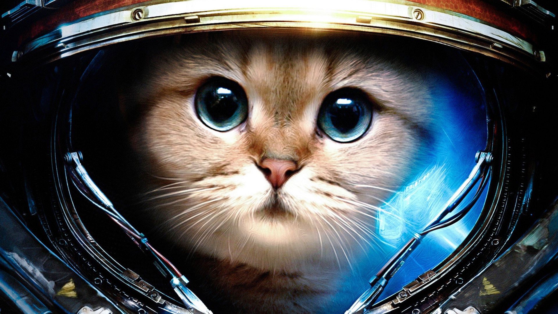 Gatto astronauta con casco spaziale, 1920x1080 Full HD, PC