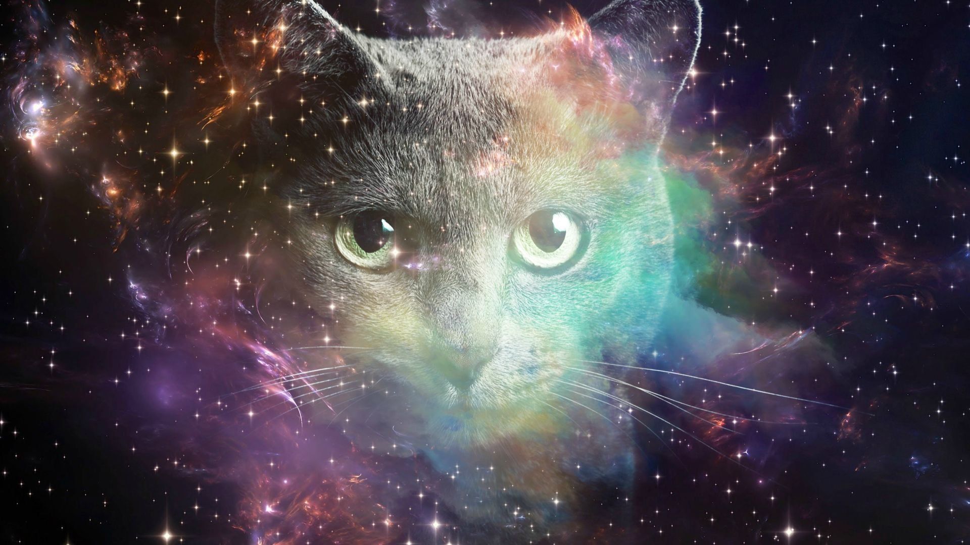 Gatto tra nebulosa colorata, 1920x1080 1080p, Desktop