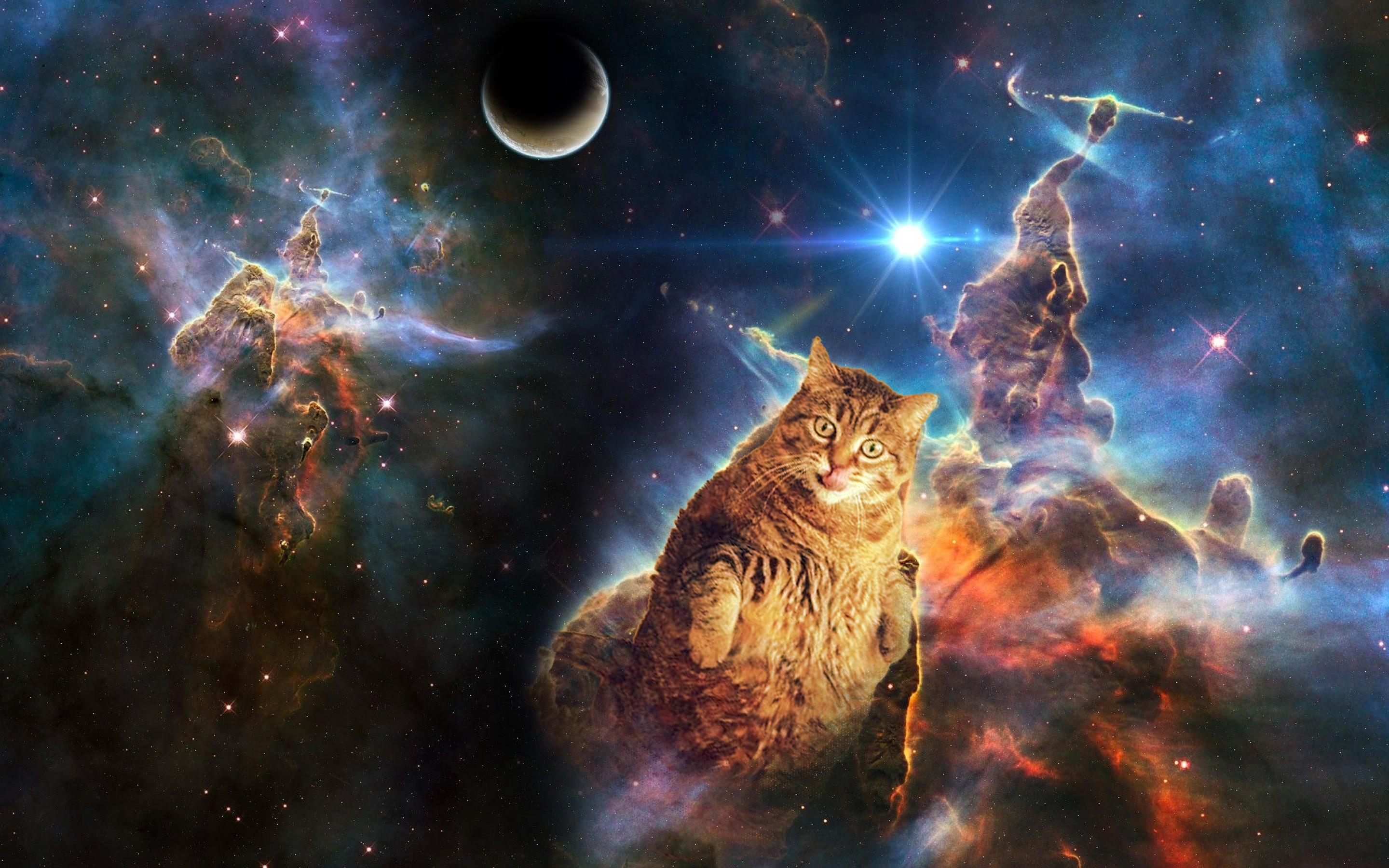 Gatto tra nebulose spaziali, 2880x1800 WQXGA, Desktop