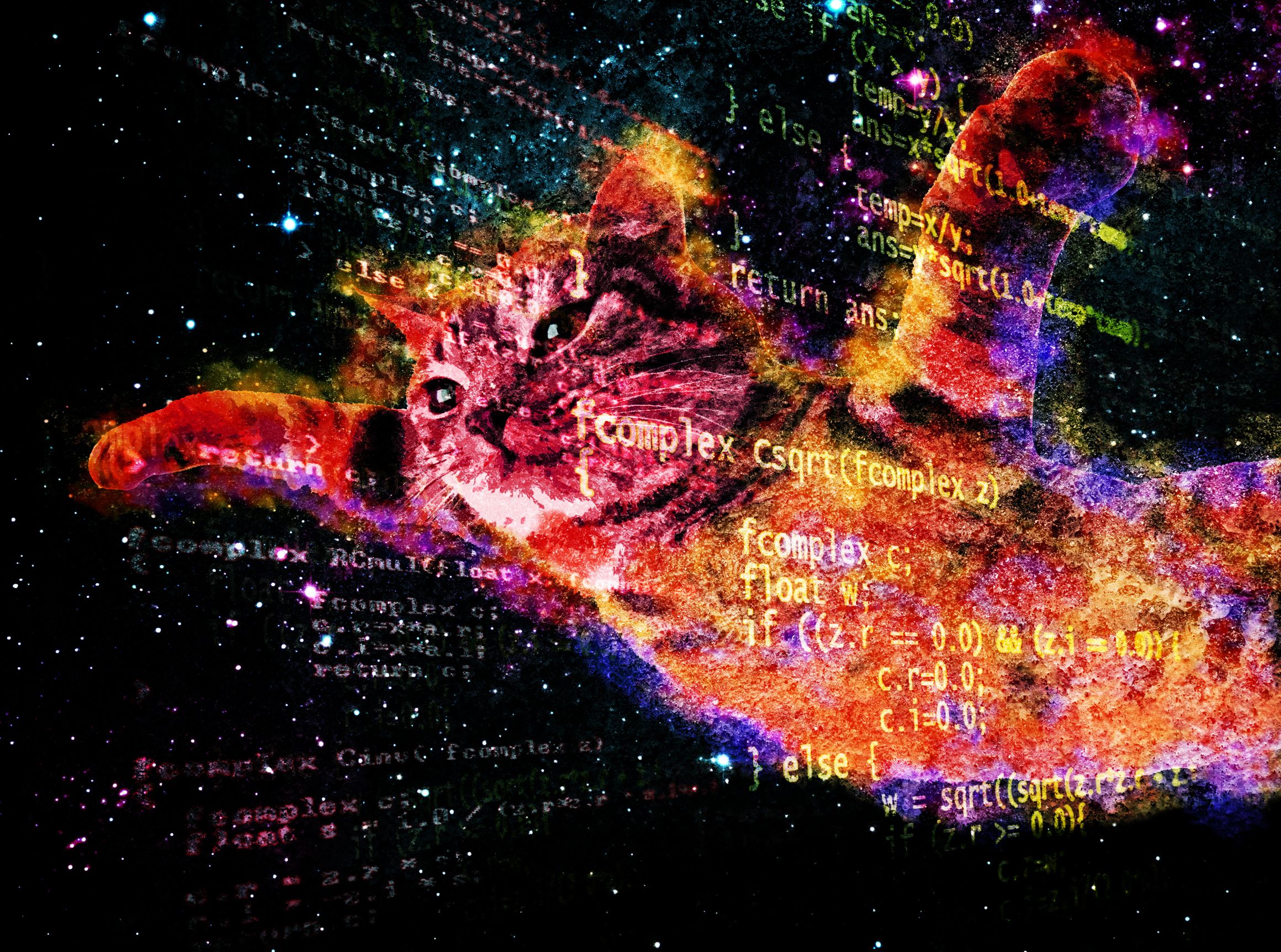 Gatto surreale su bacon spaziale, 1680x1050 HD, Desktop
