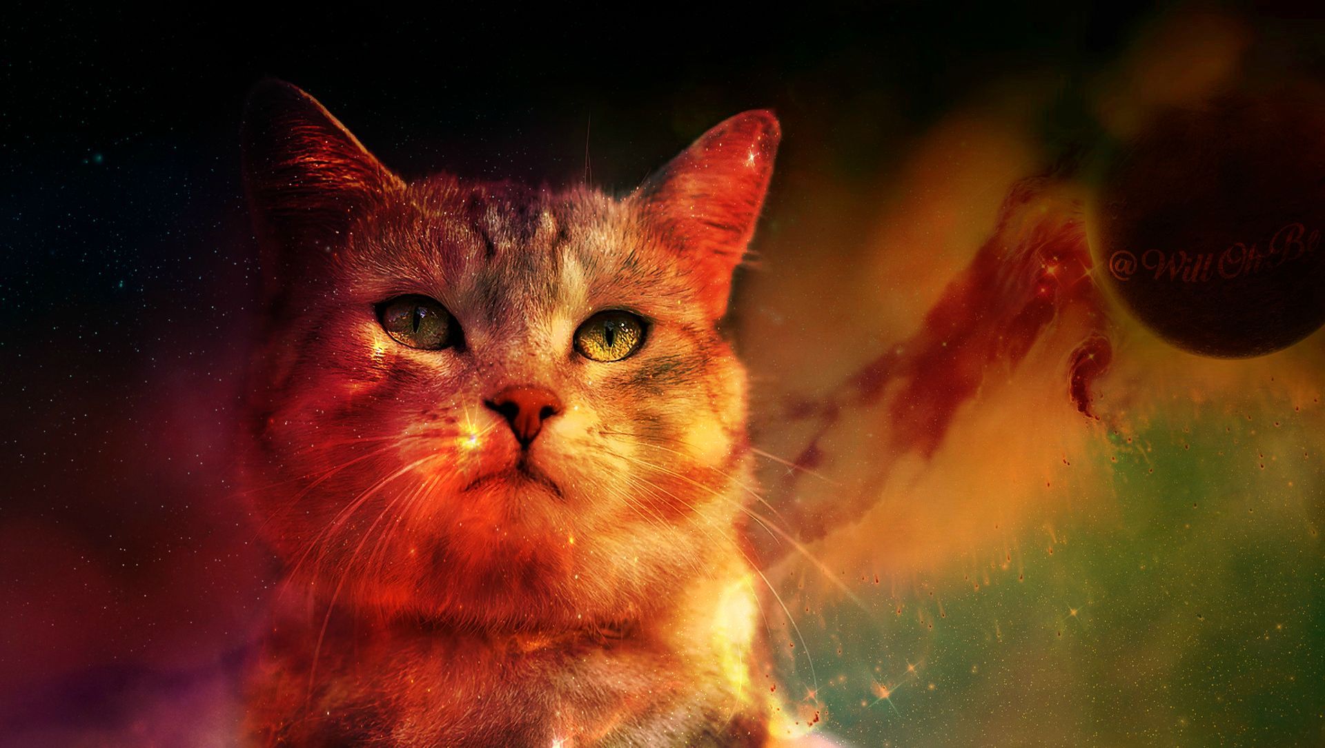 Gatto nello spazio colorato, 1920x1085 Full HD 1080p, Laptop