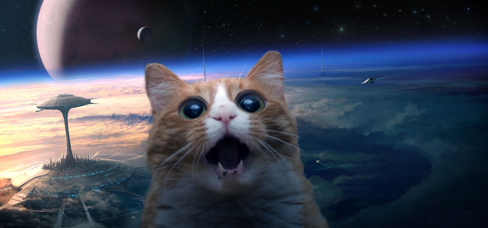 Gatto colorato nello spazio, 2320x1724 Hi-Res, PC