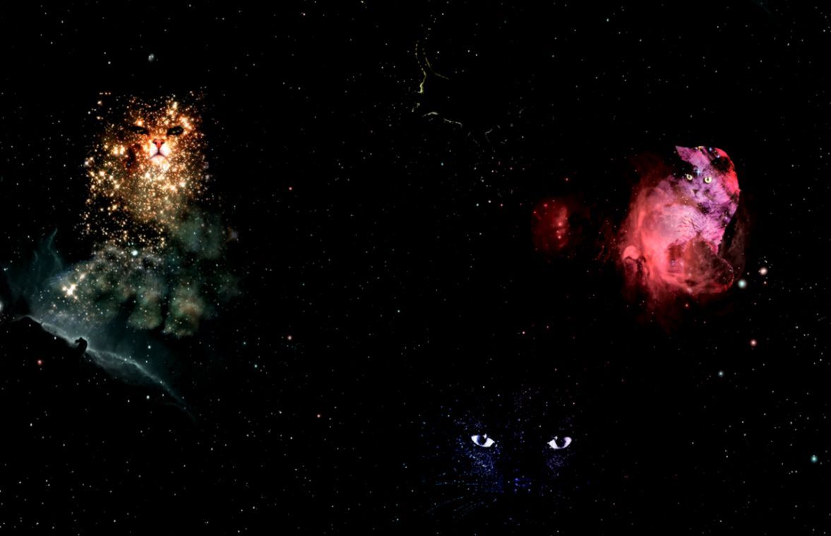 Gatto fluttuante nello spazio, 1920x1200 Full HD+, Desktop