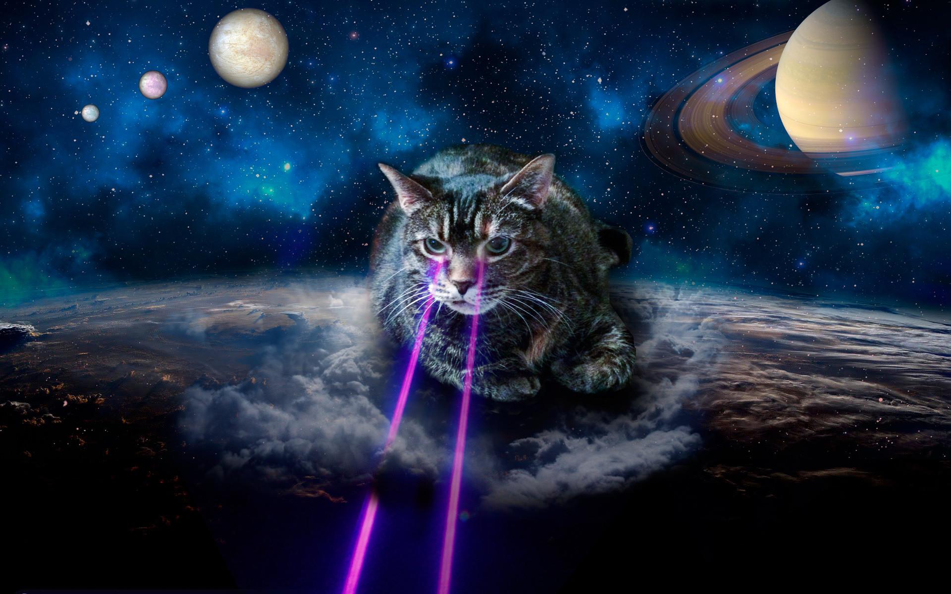 Gatto sorpreso nello spazio, 1600x747 HD Ready, Desktop