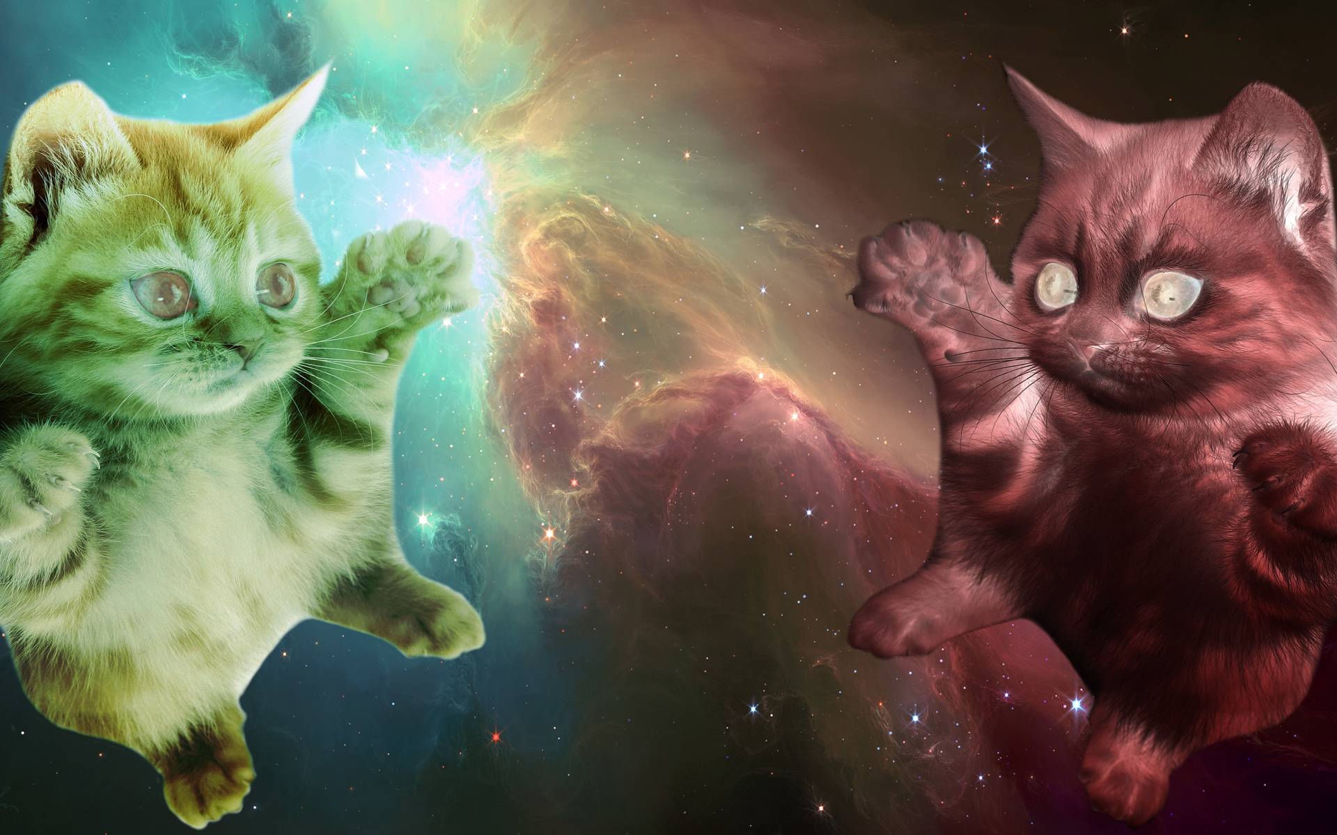 Gatto con occhi laser nello spazio, 1920x1200 Full HD+, Laptop