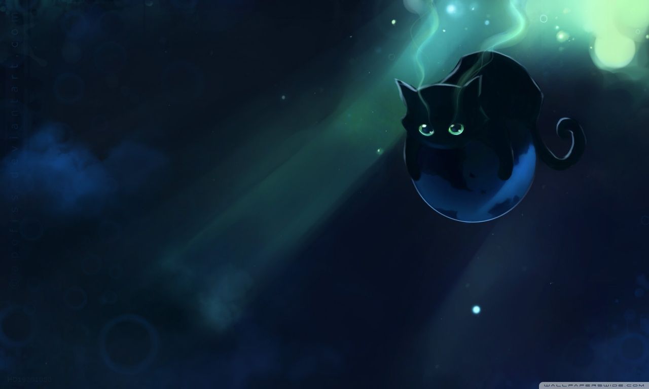 Gatto nero fluttuante spazio, 1280x768 HD, Desktop