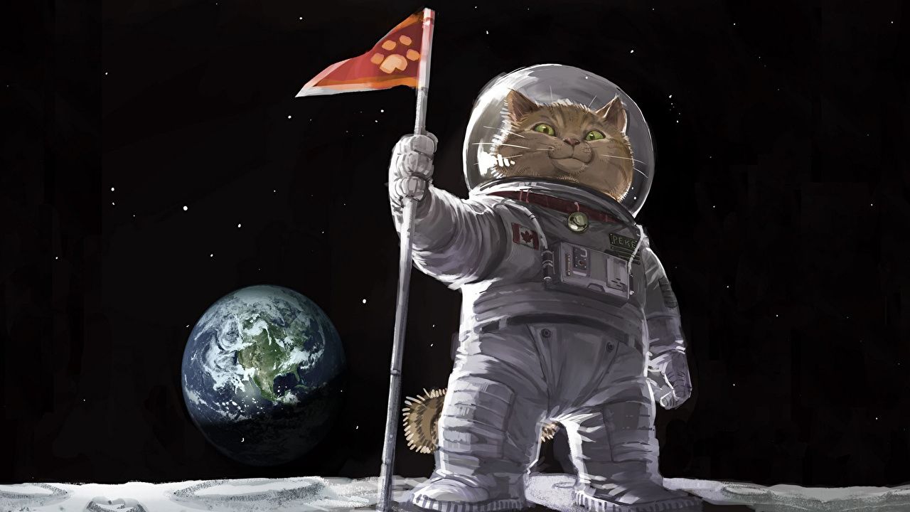 Gatto astronauta sulla Luna, 1280x720 720p, Laptop