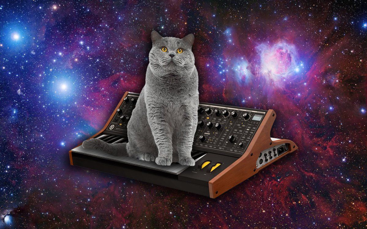 Gatto grigio con nebulosa colorata, 2048x1280 alta risoluzione, PC