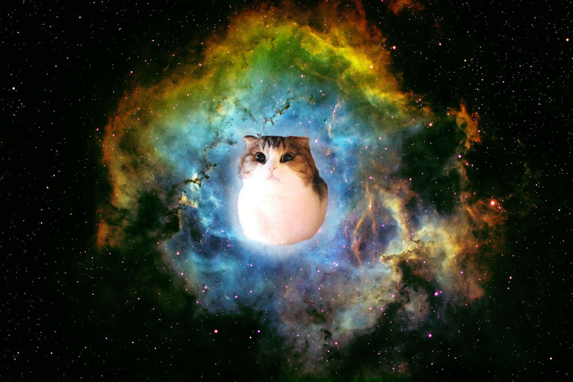 Gatto nero occhi luminosi spazio, 2816x2112 2K, Desktop