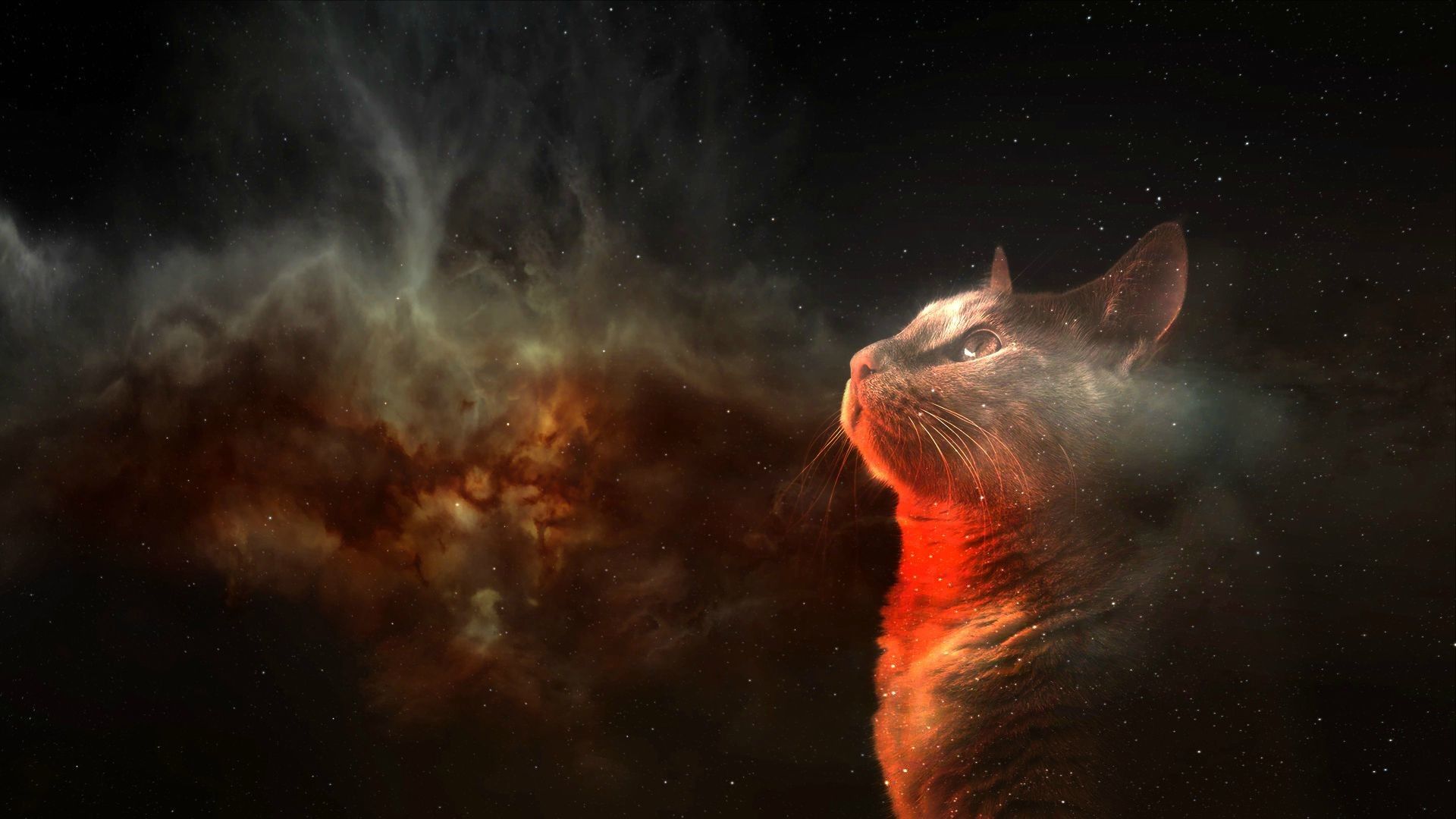 Gatto nebulosa spaziale, 1920x1080 Full HD 1080p, PC Desktop