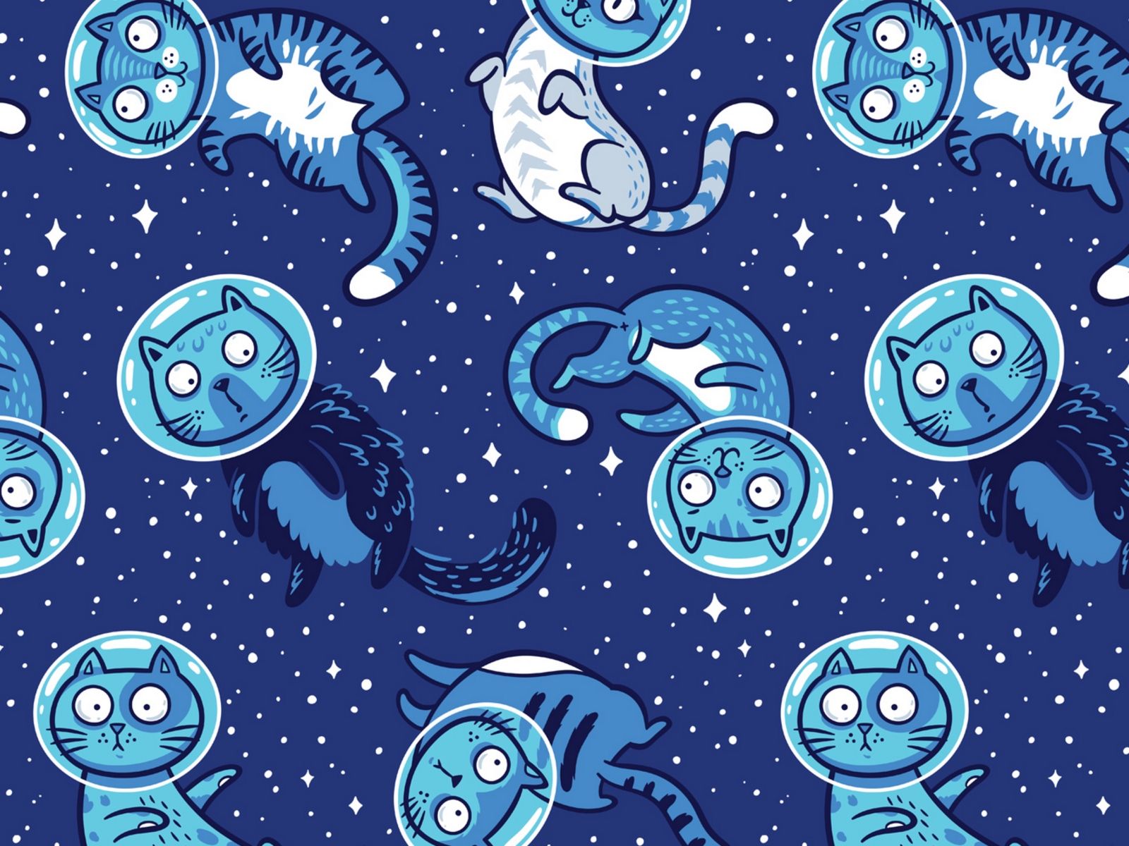 Gatto nella nebulosa spaziale, 1920x1080 1080p, Laptop