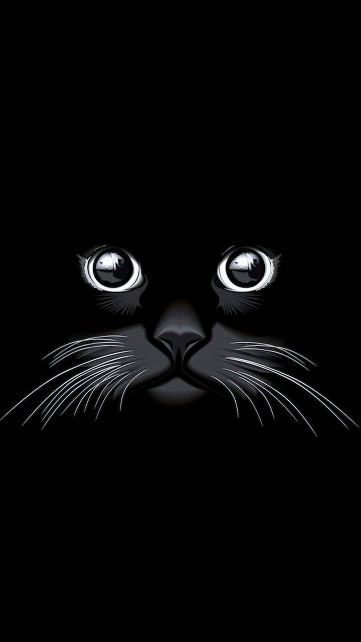 Gatto nero occhi luminosi, 720x1280 Verticale, Telefono