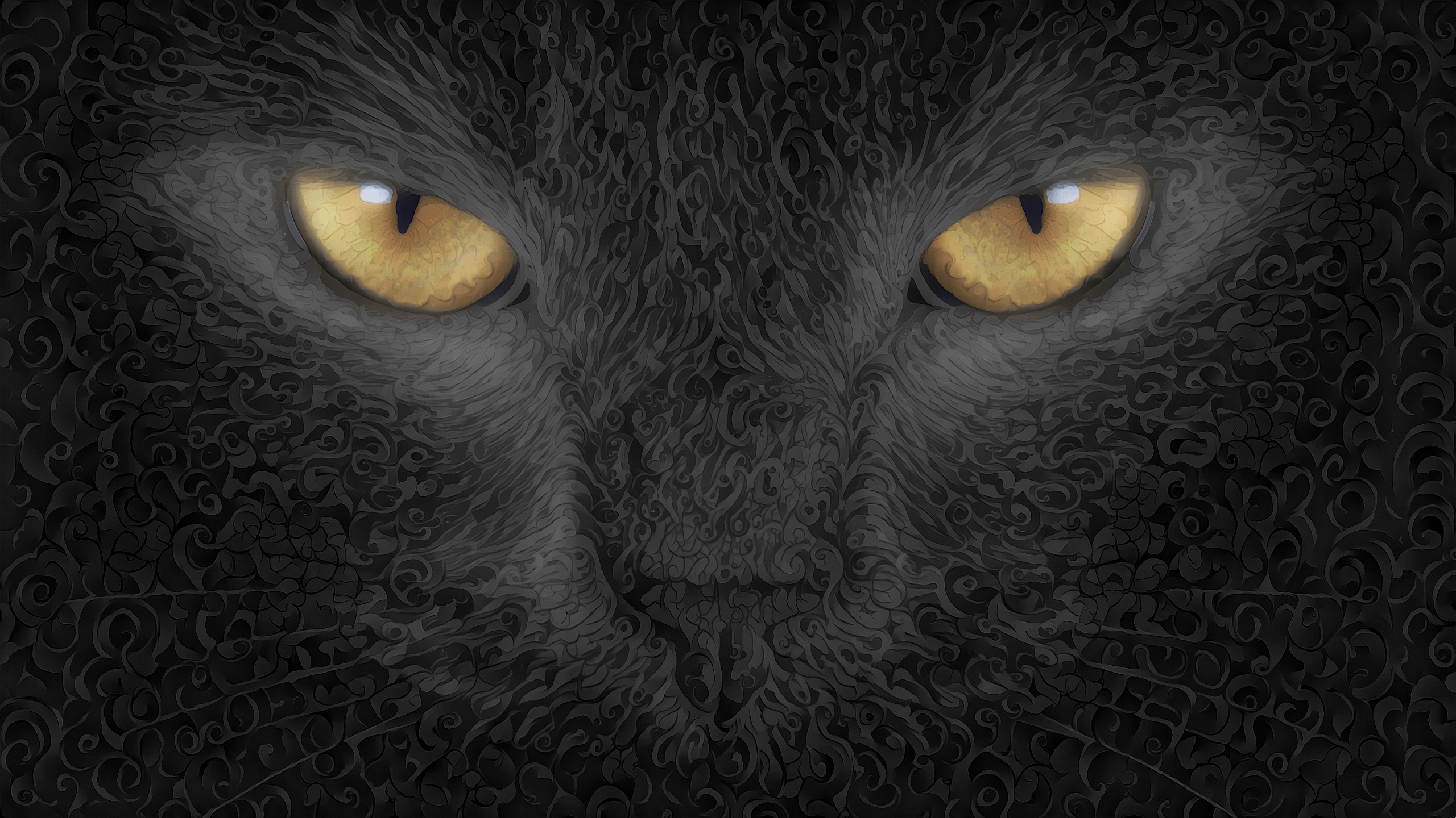 Gatto nero e pesce in bolla, 1920x1080 Full HD 1080p, PC