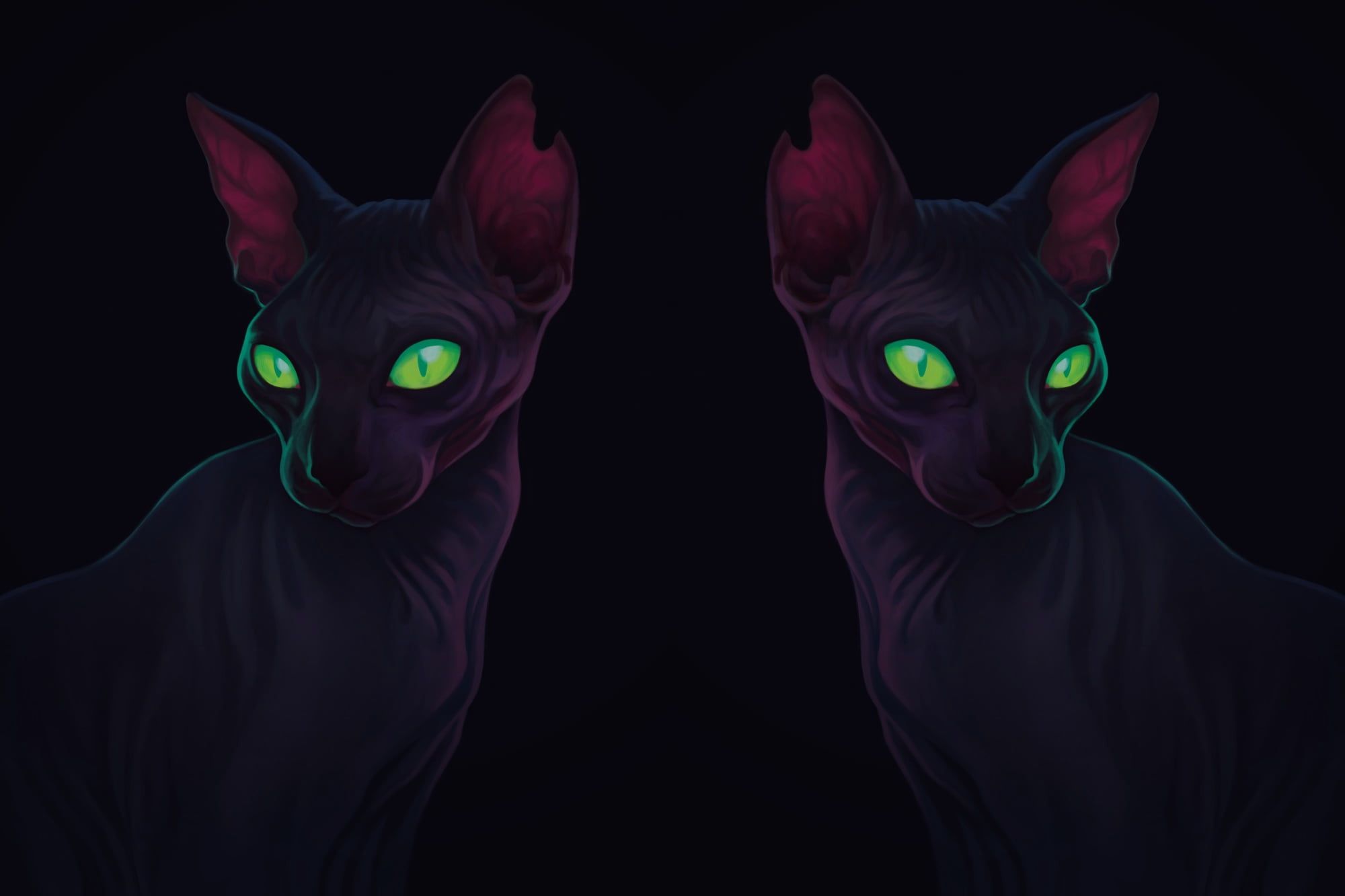 Due gatti neri occhi verdi, 2000x1333 alta risoluzione, Desktop