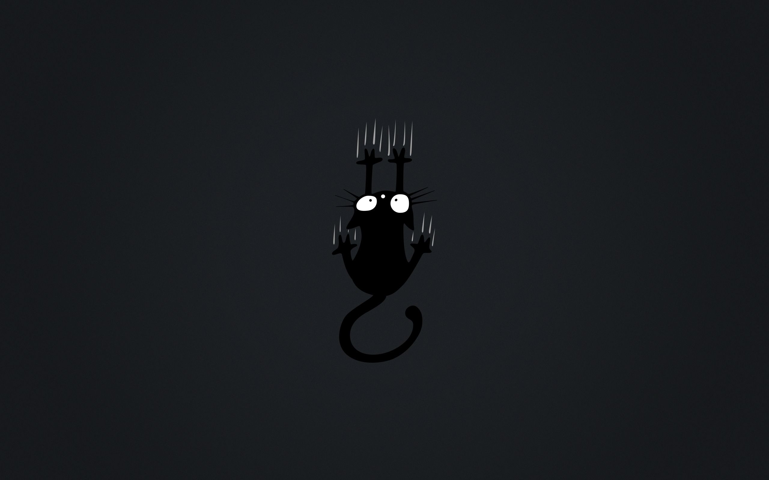Gatto nero minimalista sfondo scuro, 2560x1600 2K, MacBook Pro