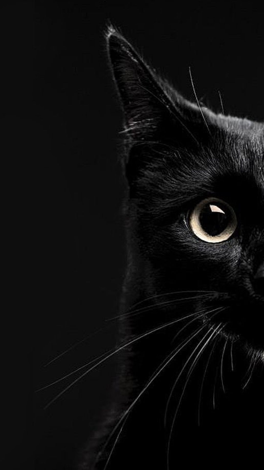 Gatto nero primo piano occhio, 1080x1920 Verticale, Telefono