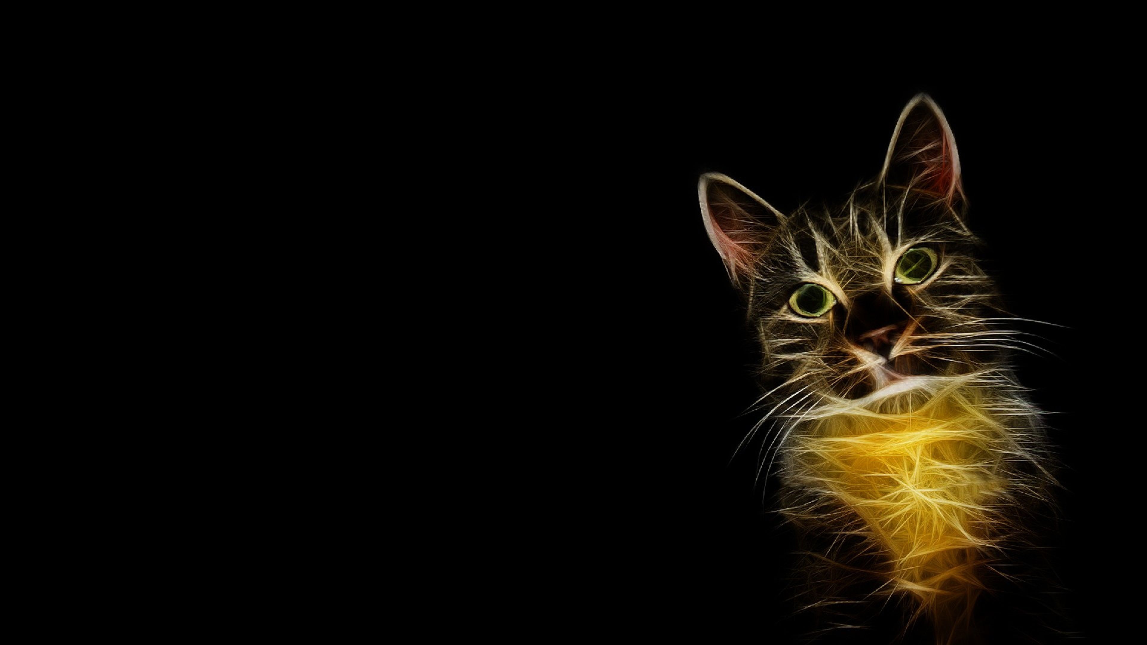 Gatto luminoso contorno sfondo nero, 3840x2160 Ultra HD, PC