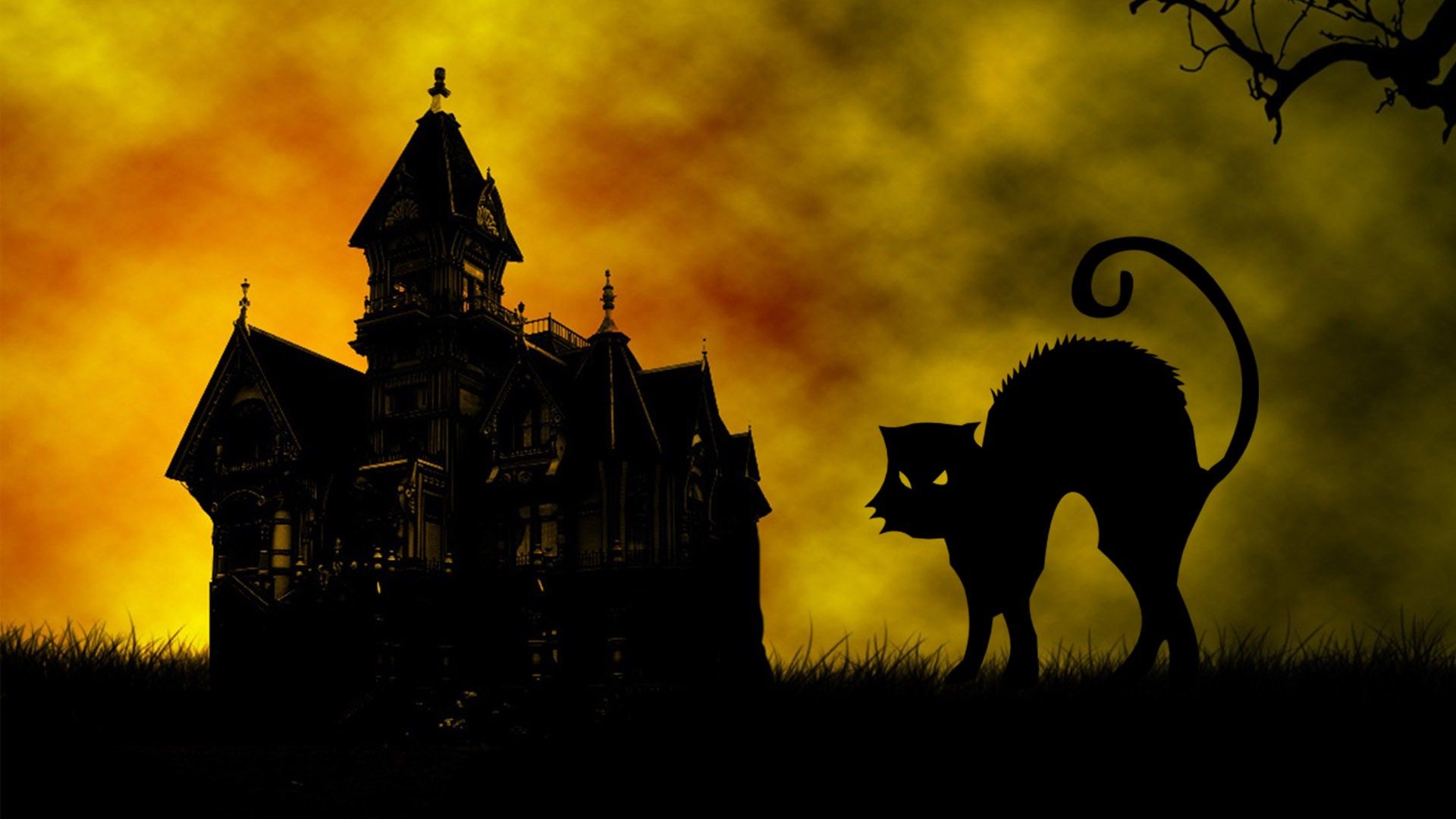 Gatto nero Halloween casa stregata, 1920x1080 Full HD 1080p, Desktop