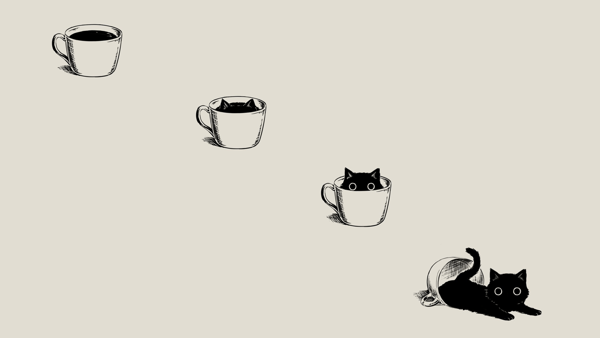 Gatto nero che diventa tazza caffè, 1920x1080 Full HD 1080p, PC