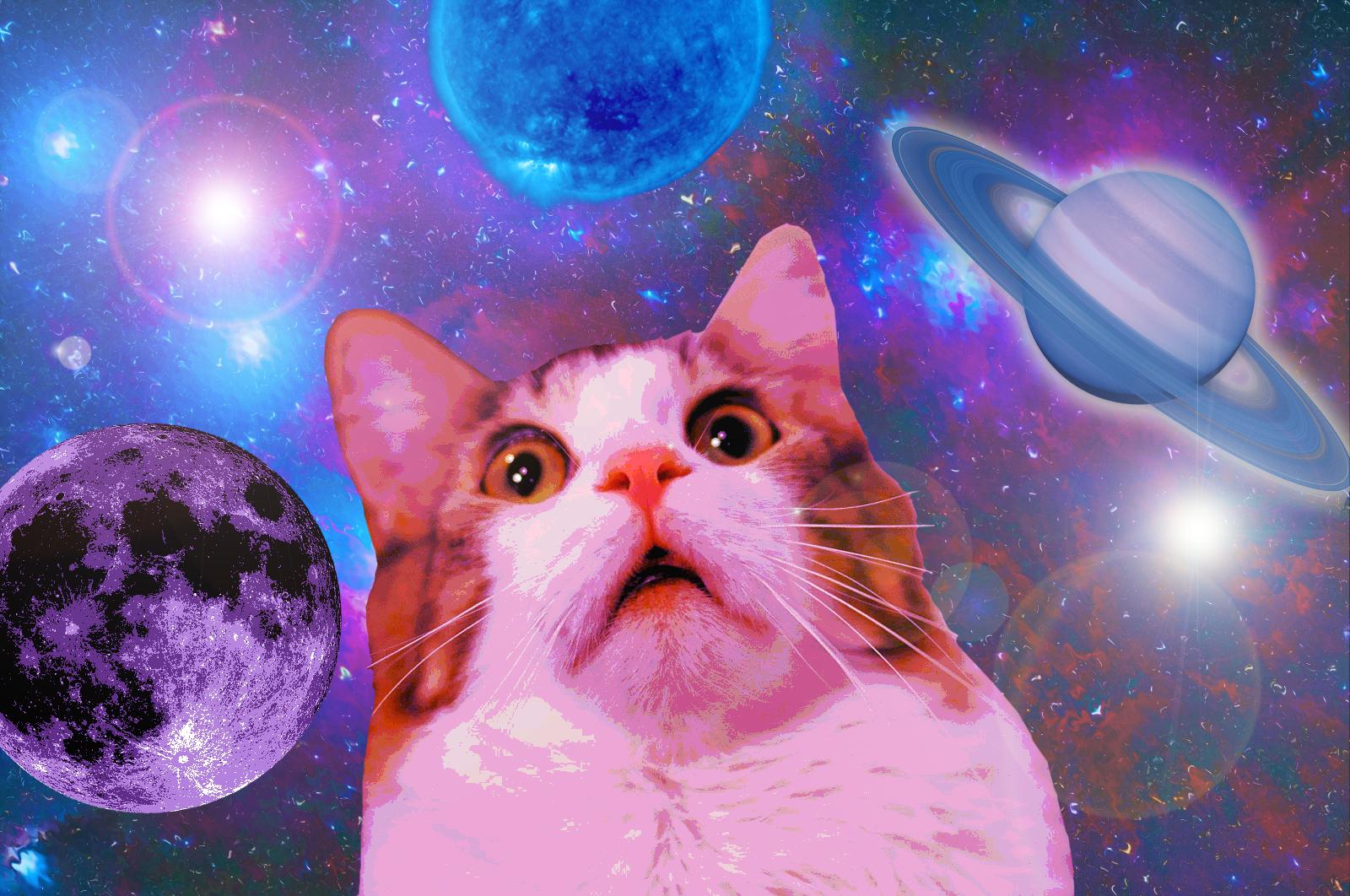 Collage di gattini colorati, 1600x1200 HD, Desktop
