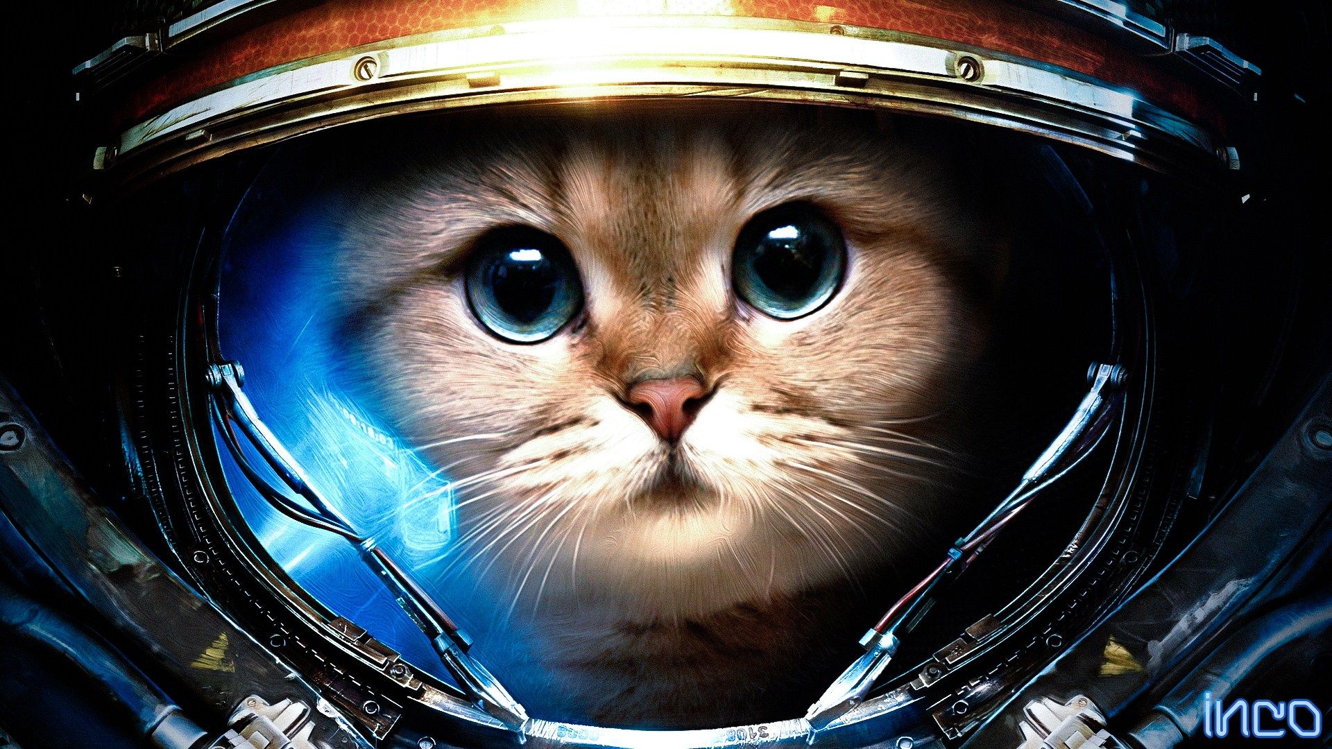 Gatto astronauta con casco, 1920x1080 1080p, Desktop