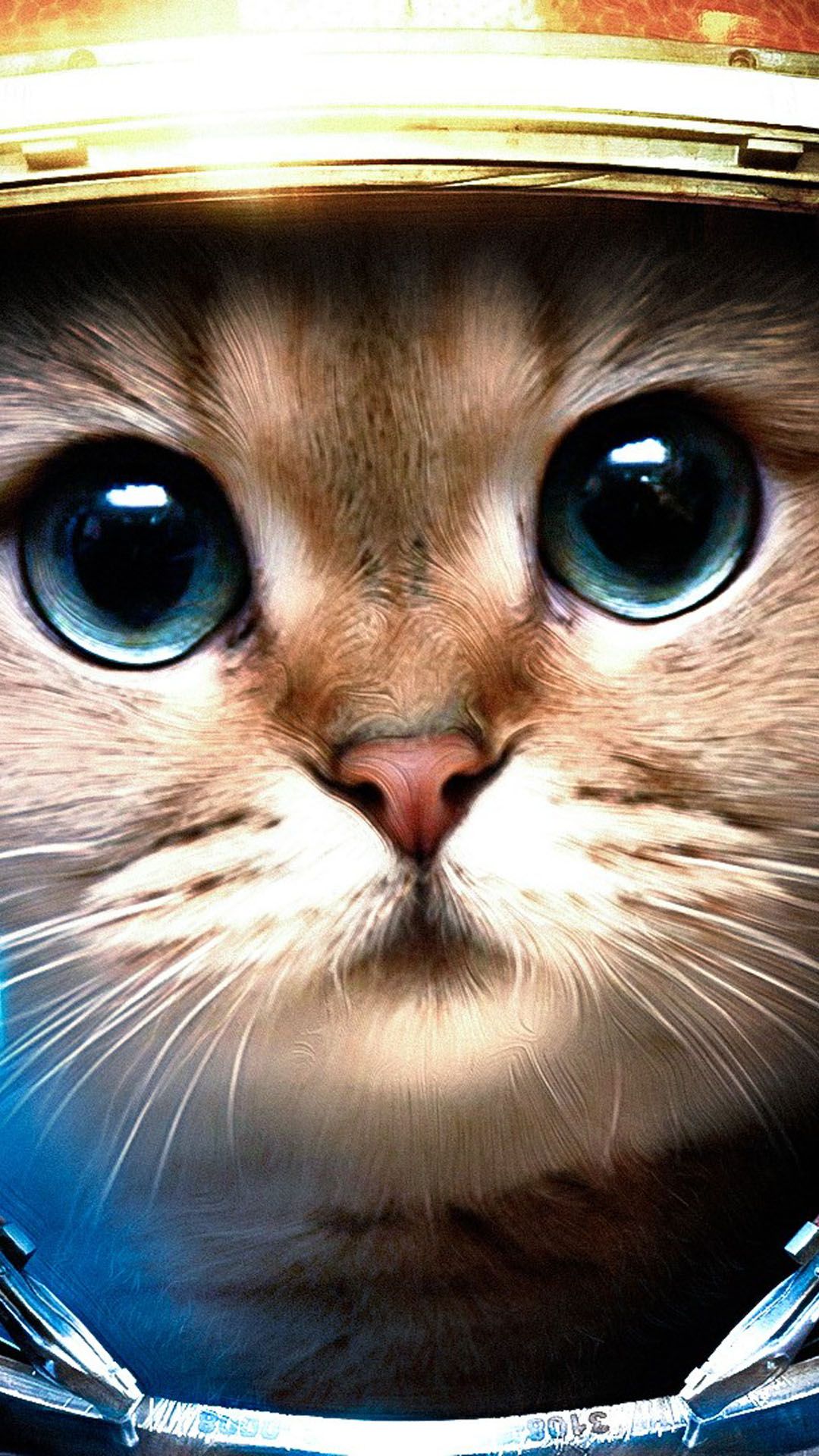 Gatto astronauta occhi azzurri, 1080x1920 Full HD Verticale, iPhone Air