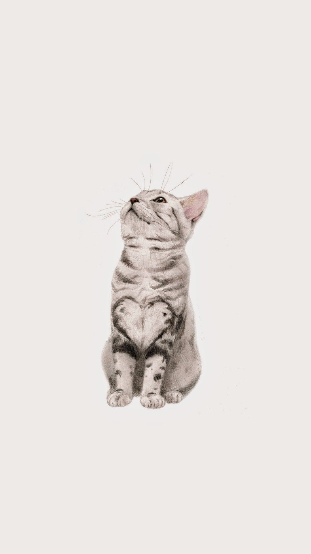 Gattino grigio disegnato seduto, 1080x1920 Verticale, iPhone Pro