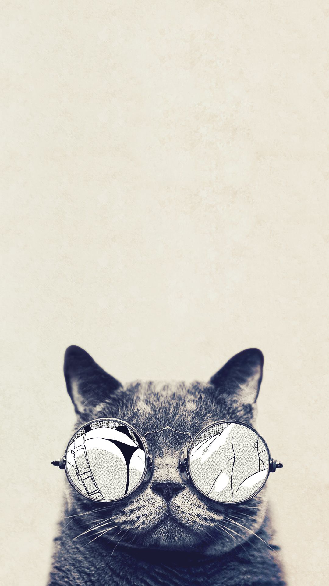 Gatto grigio con occhiali rotti, 1080x1920 Full HD Verticale, iPhone Pro