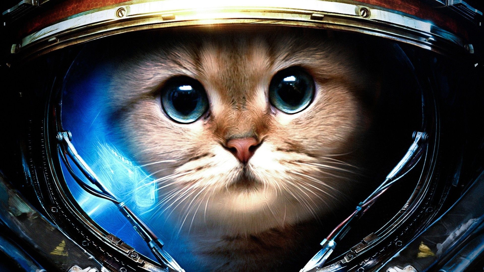 Gatto astronauta con casco, 1920x1080 1080p, PC