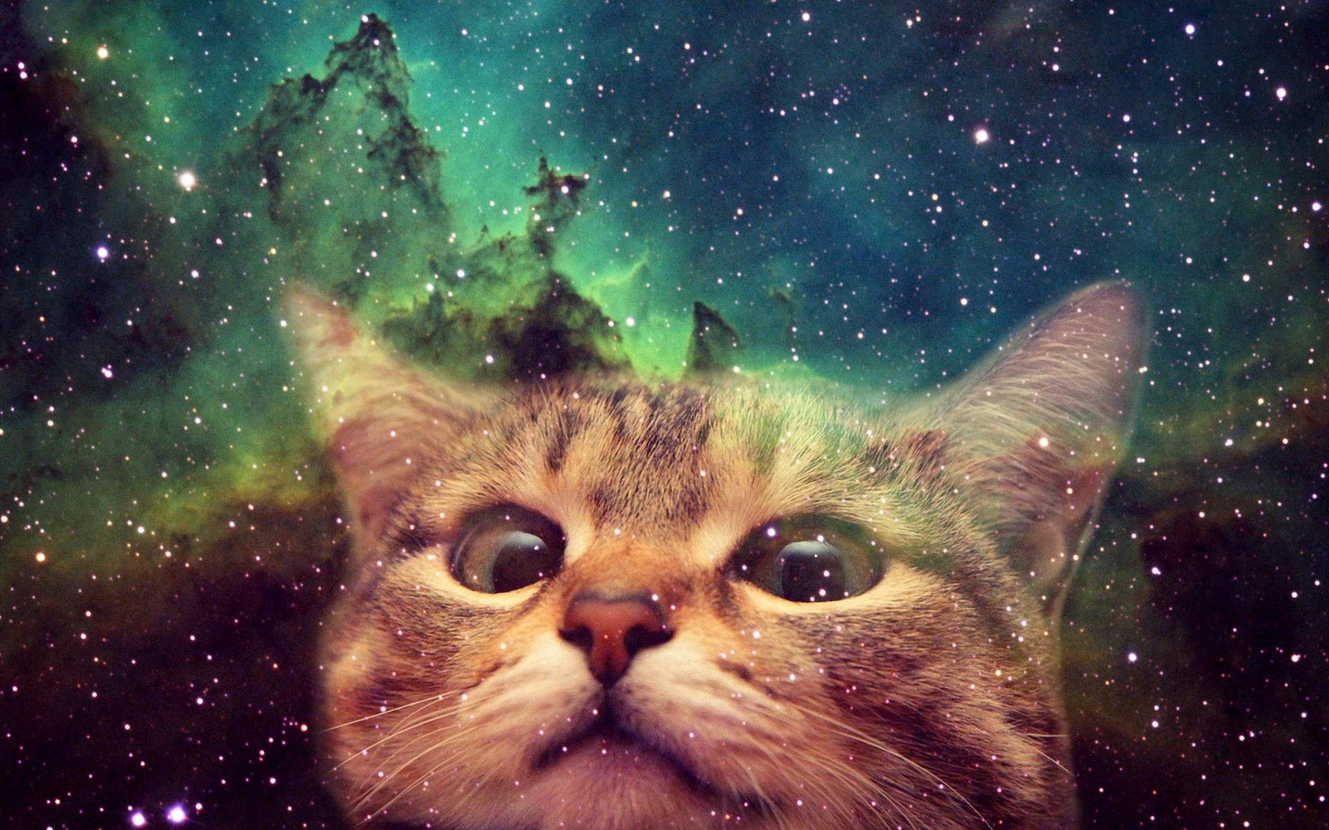 Gatto nello spazio, nebulosa, 1920x1200 Full HD+ WUXGA, Desktop