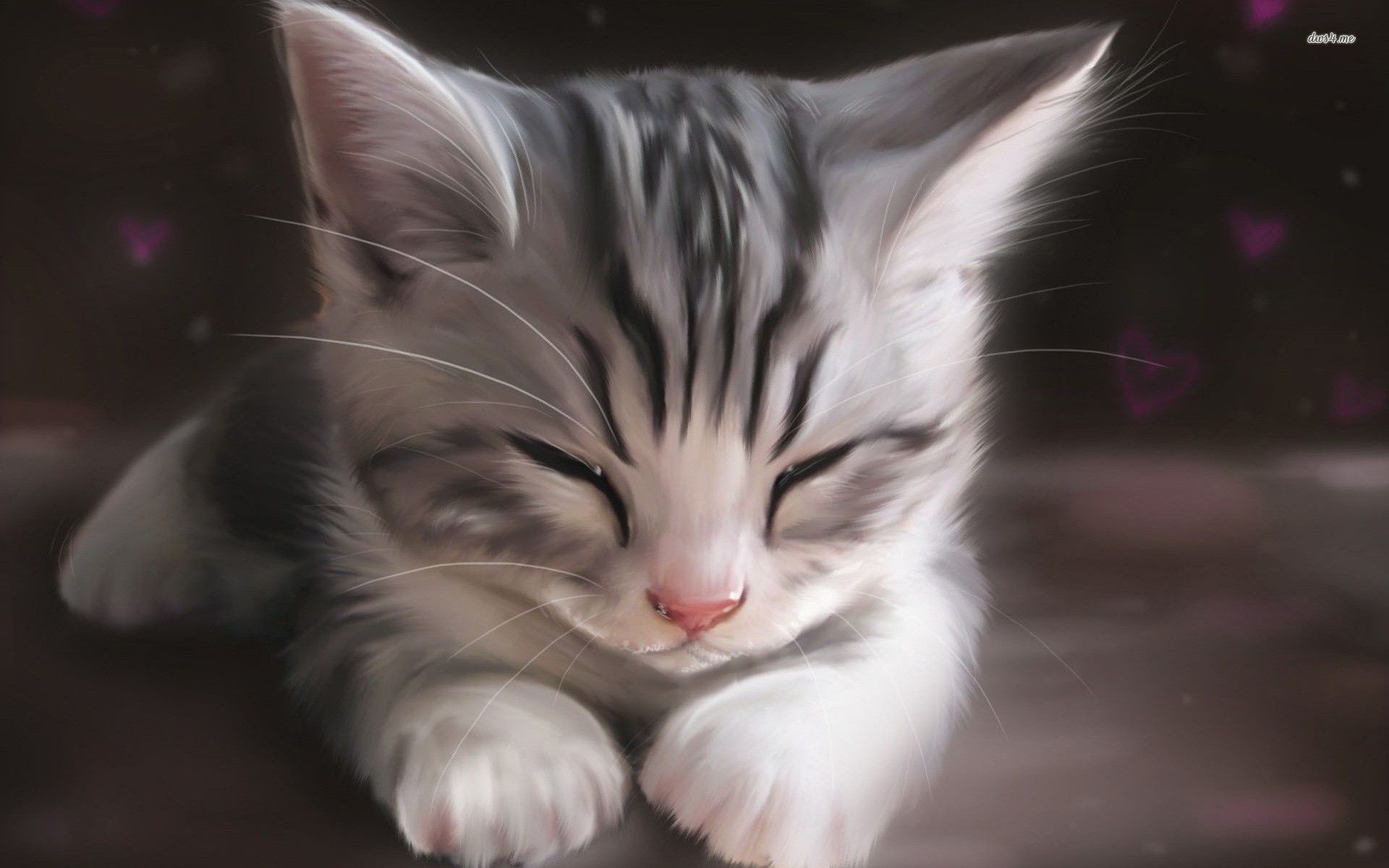 Gattino grigio addormentato dipinto, 1920x1200 WUXGA, Laptop