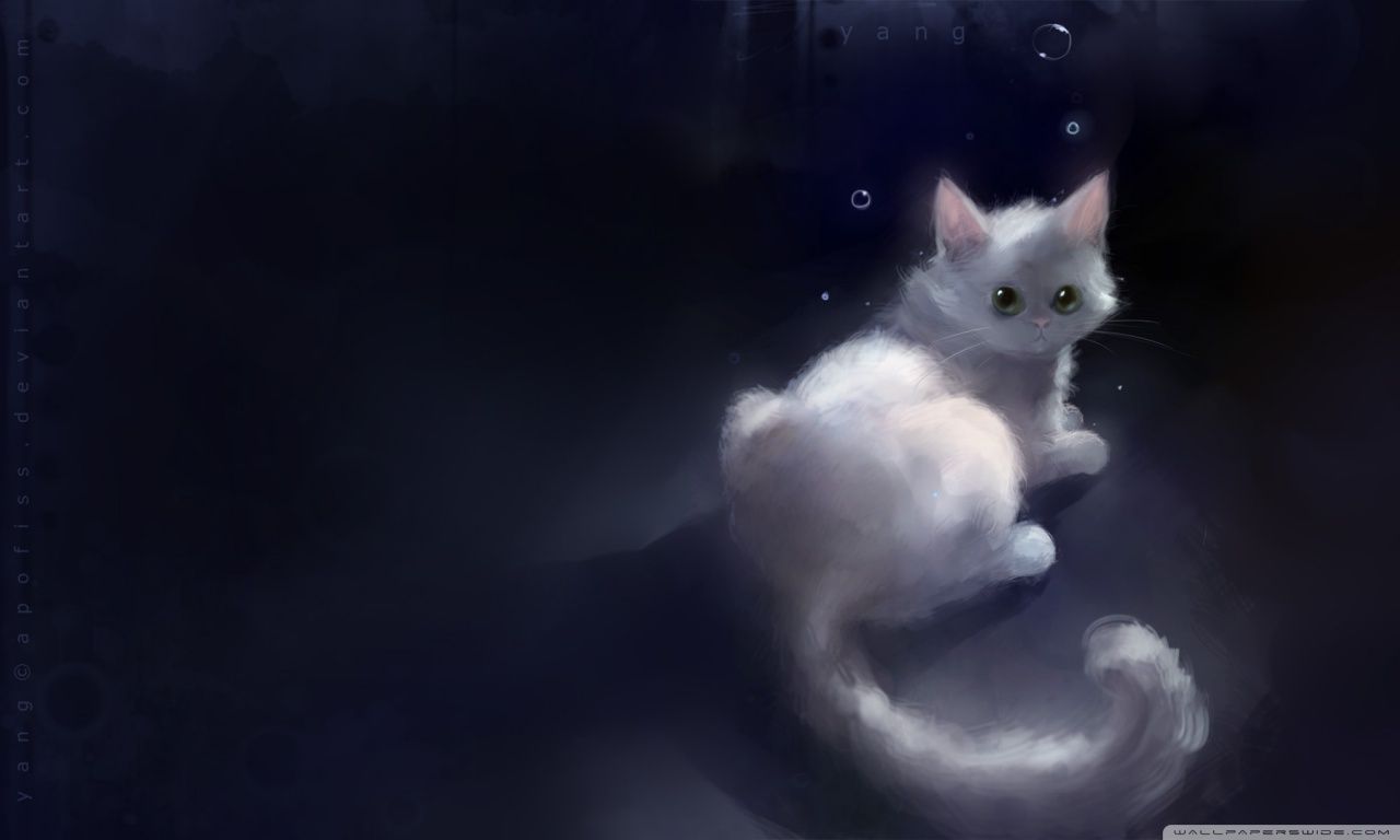 Gattino bianco e arancione in giardino, 1920x1080 1080p, Desktop