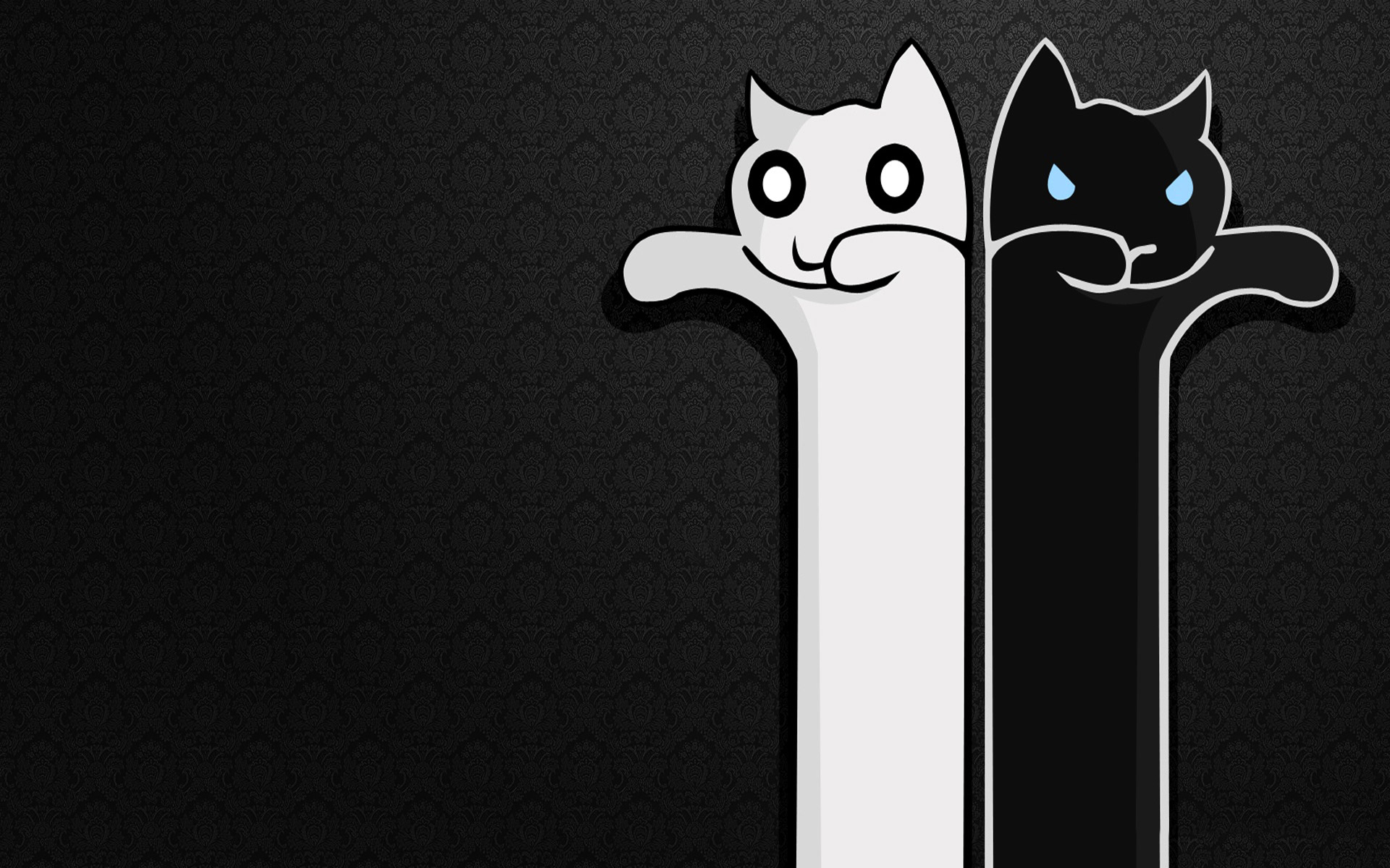 Gatti cartoon bianco e nero, 1920x1200 WUXGA, Desktop