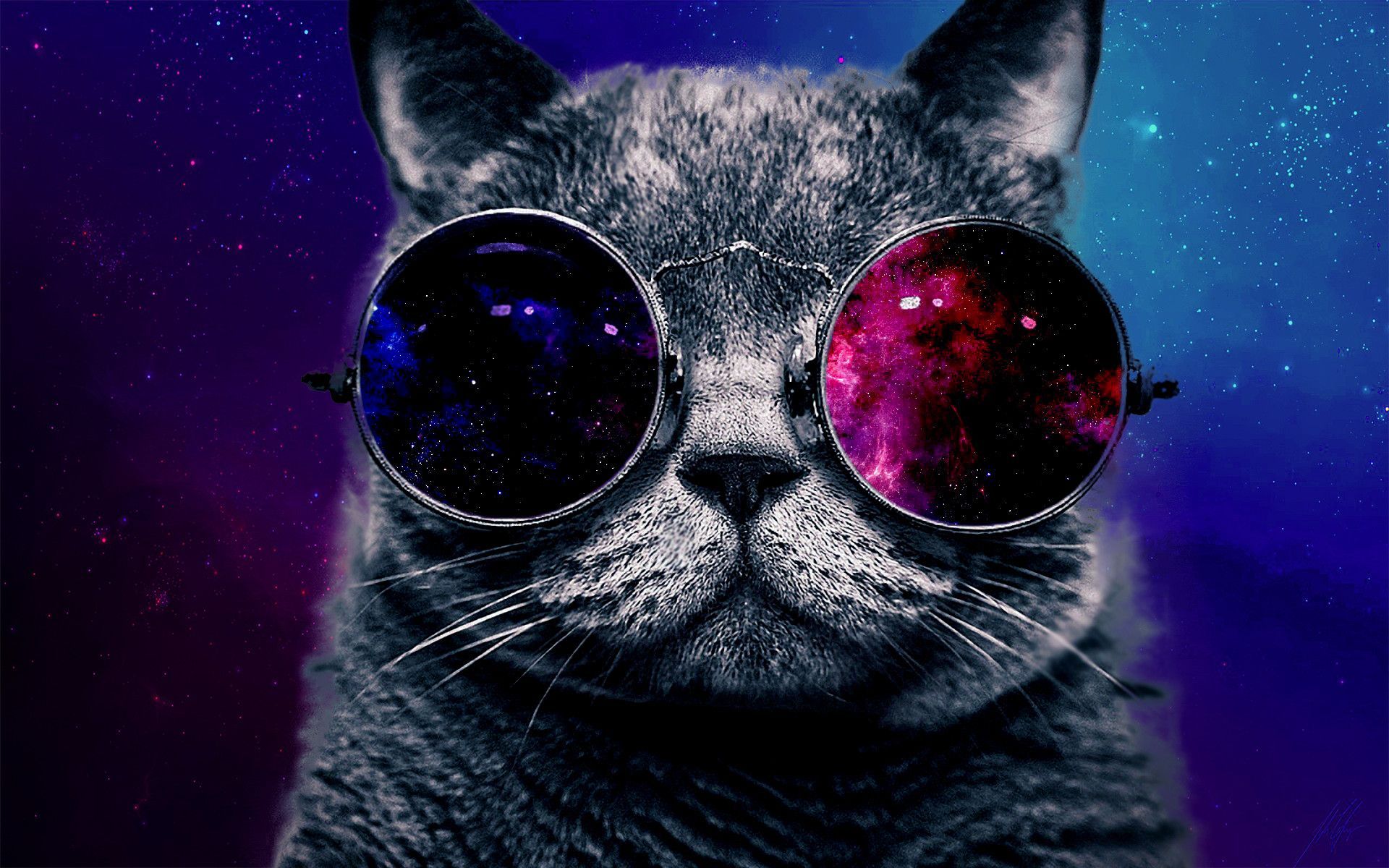 Gatto con occhiali galassia, 1920x1200 WUXGA, PC