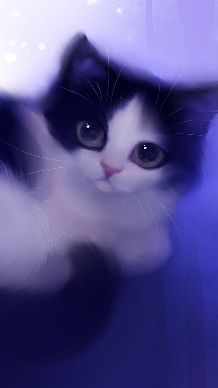 Gattino bianco e nero, 750x1334 Full HD Verticale, iPhone Pro Max