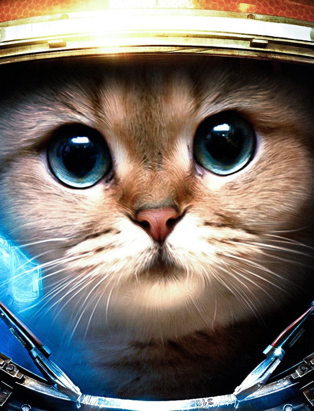 Gatto astronauta occhi azzurri, 1040x1360 Verticale, iPhone Plus